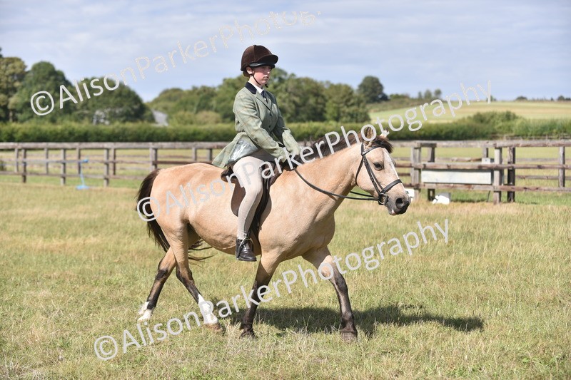 20260906-2662 - Class 12 - 14.2hh and Under