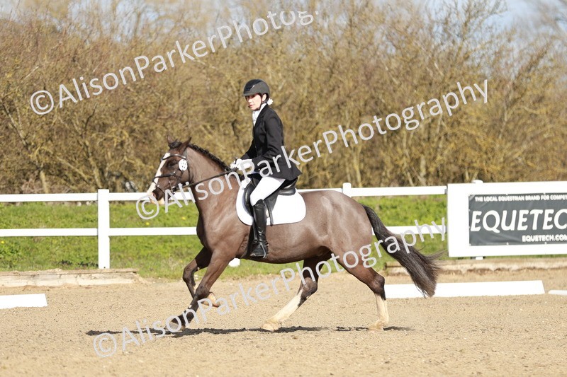 20260314-4351 - DR4 - Prelim 2