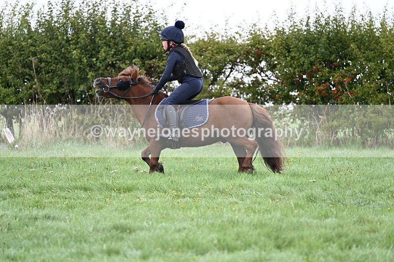 WJ7_7646 - Time 10:05 to 10:30  (3 cameras)