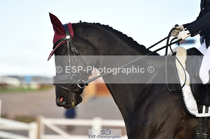 231104A-143650-02117 - Cls 13 Adv Medium 91