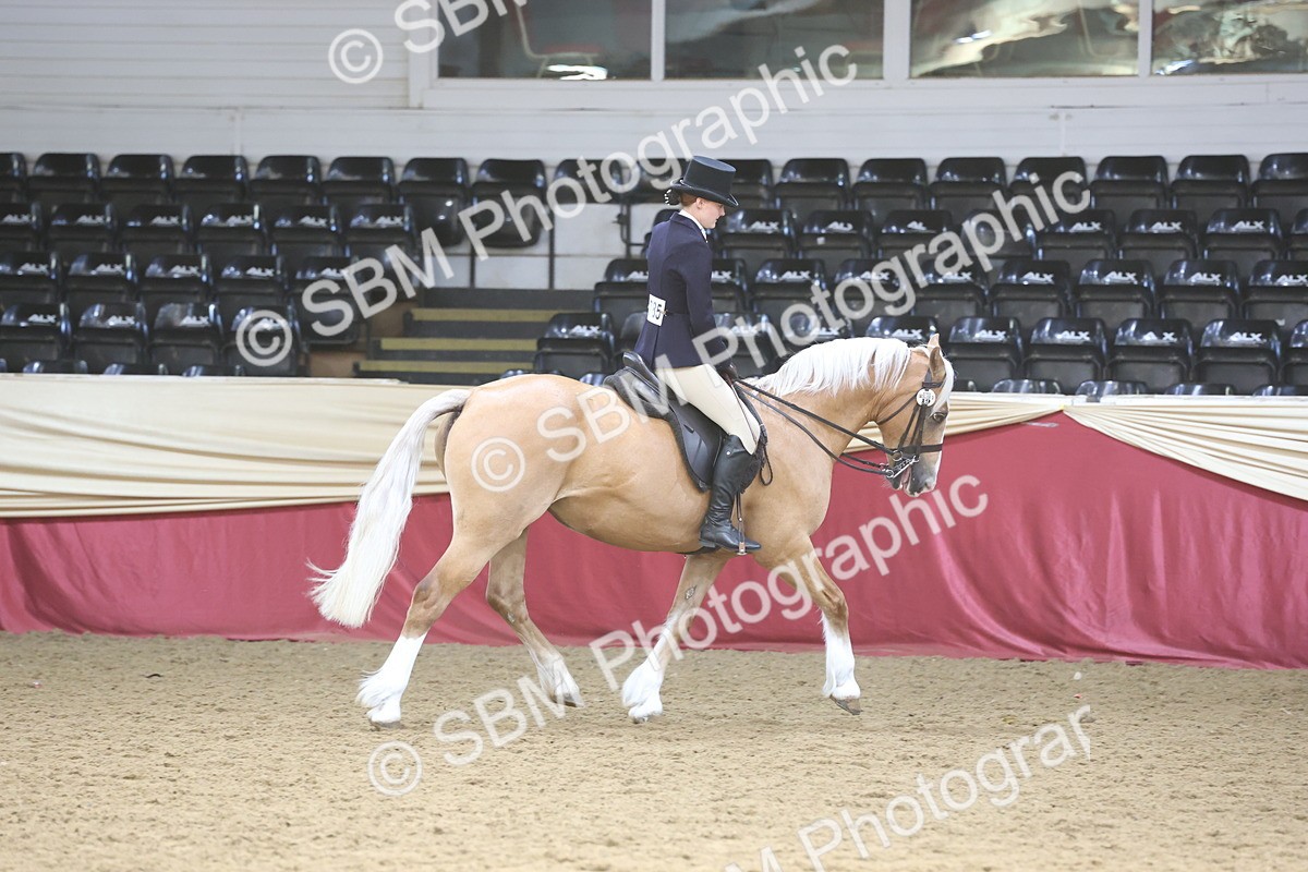SBM_23776 - class 906 - Supreme Final - Ridden Pre Vet