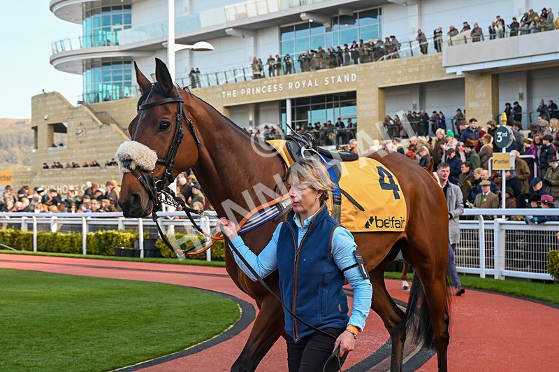 250125-Race 3-Soul Icon-3259 - Race 3