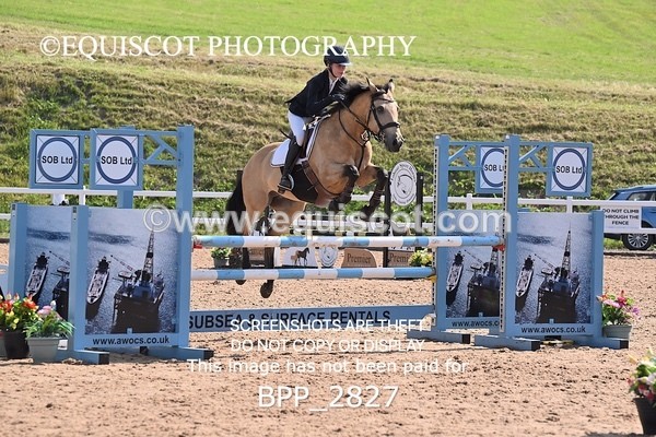 BPP_2827 - FRI CLASS 17 Pony Newcomers/1m Open