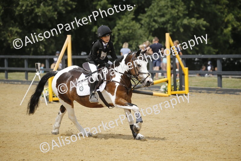 20250622-4131 - 50cm