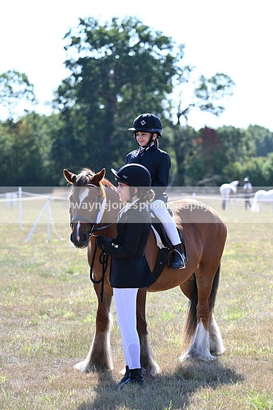 WJ7_3219 - Class 8 Ridden Tack & Turnout