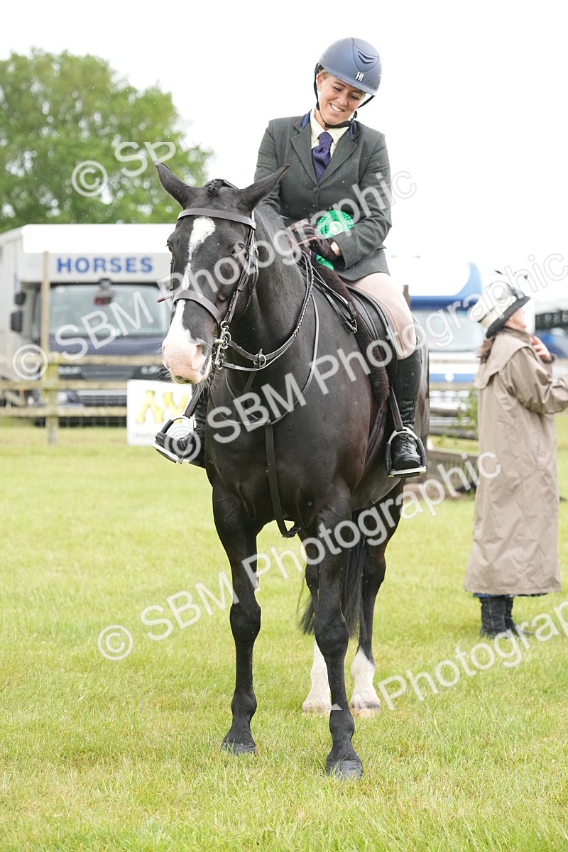 SBM_12816 - Class 97-98 - LIHS BSHA Rising Star Working Show Horse Hunter