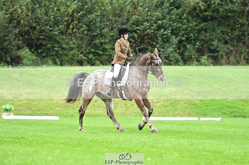 241024-105256-03074 - 501-Captain.Holly.Day-MUSTANG