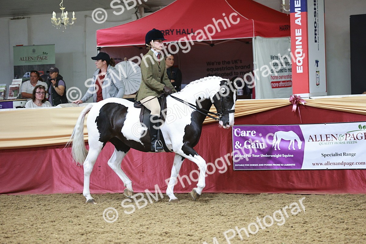 SBM_08804 - Class 12R - Regional Ridden Pre-Vet