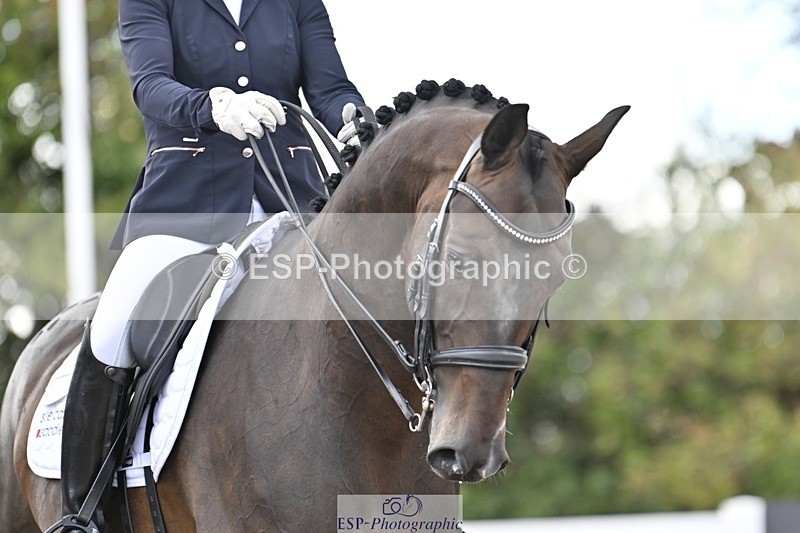 250907-165207-10794 - 113-Nicole.JahanshahiVirtual.Attraction