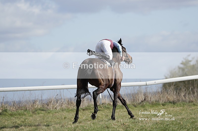 PtP 260223 517 - South & West Wilts Point-to-Point Larkhill 26/02/23