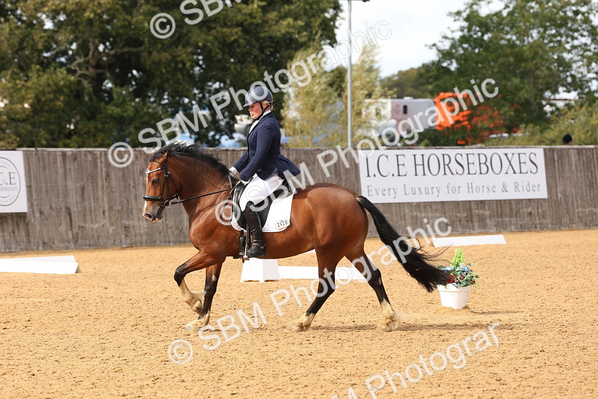 SBM_47447 - D12 - Small Tour Championship prelim 2