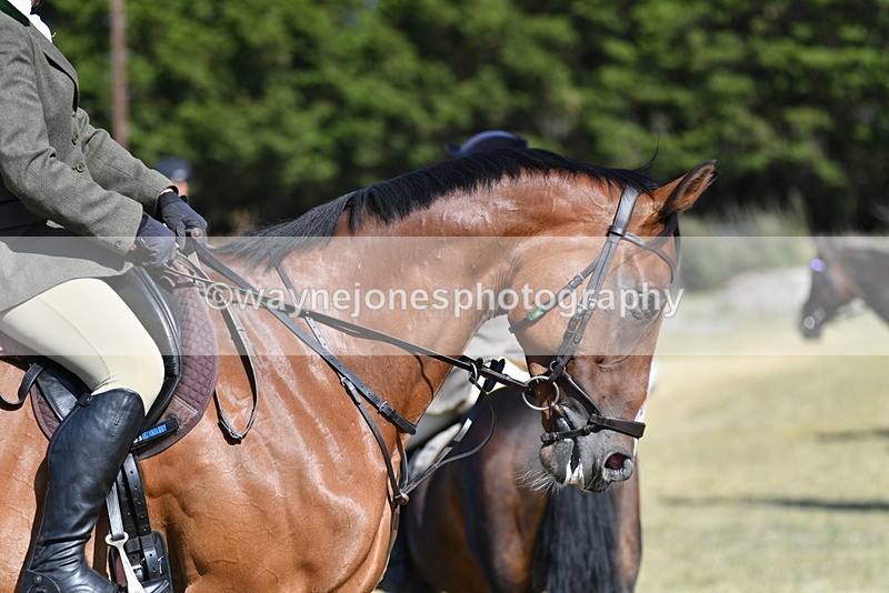WJ5_4666 - Pre meet