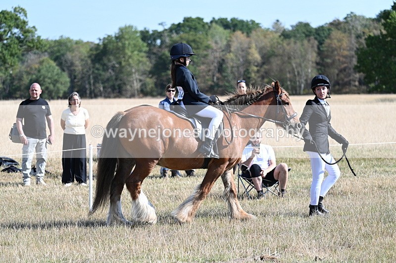 WJ7_3008 - Class 8 Ridden Tack & Turnout