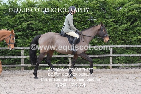 BPP_7474 - RING 1  (RIDDEN HORSES / IN HAND / VETERAN ETC)