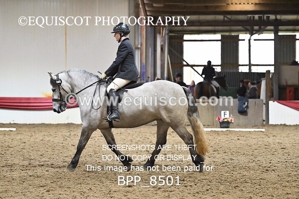 BPP_8501 - INTRO 3