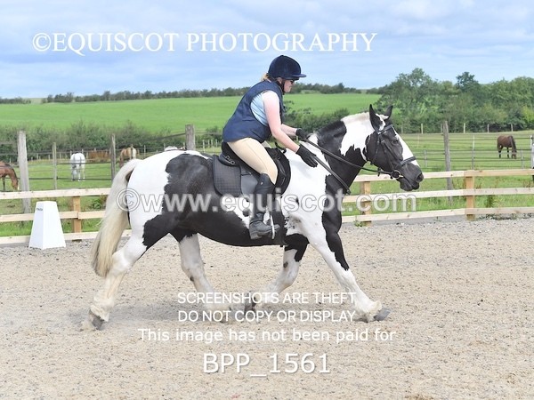 BPP_1561 - DERBY CLASS 3 - 40CM