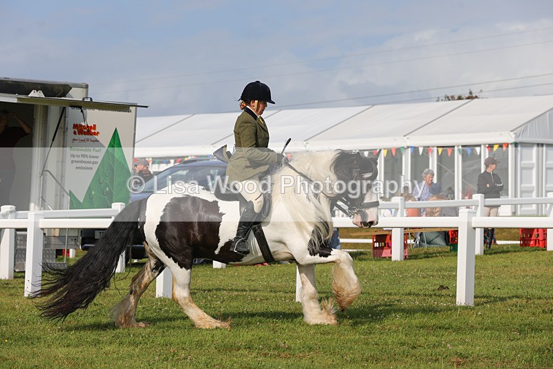 1X9A3262 - Class 28: Ridden Native/Trad Coloured Pony