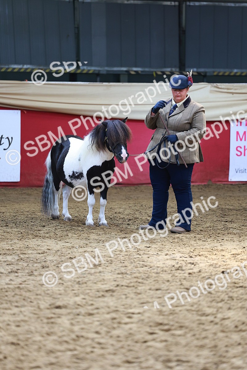 SBM_18644 - Class 903 - Sup Final - IH Pre Vet