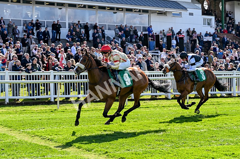 100426-Race 1-Where Love Lives-2621 - Race 1