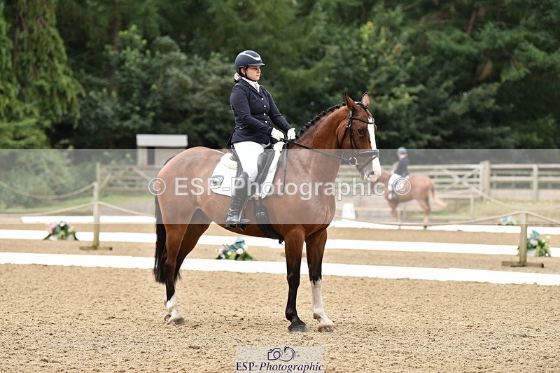 140109A-233316-08498 - 008-Bella.Balian-Beechwood.Joey