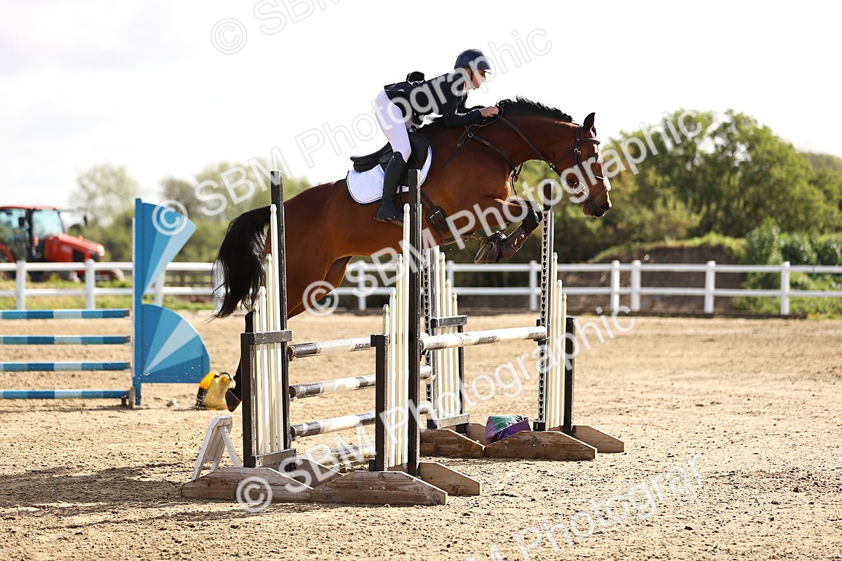SBM_003006 - Class 15 - Senior British Novice - 90cm