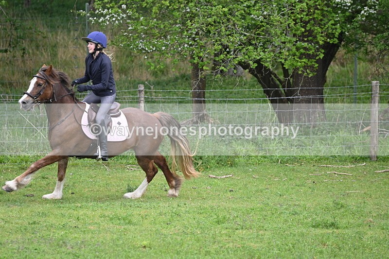 WJ6_3383 - A camera