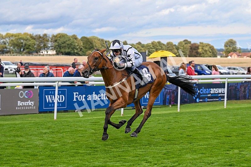 170925-Race 4-Dunkeld Dreamer-4908 - Race 4