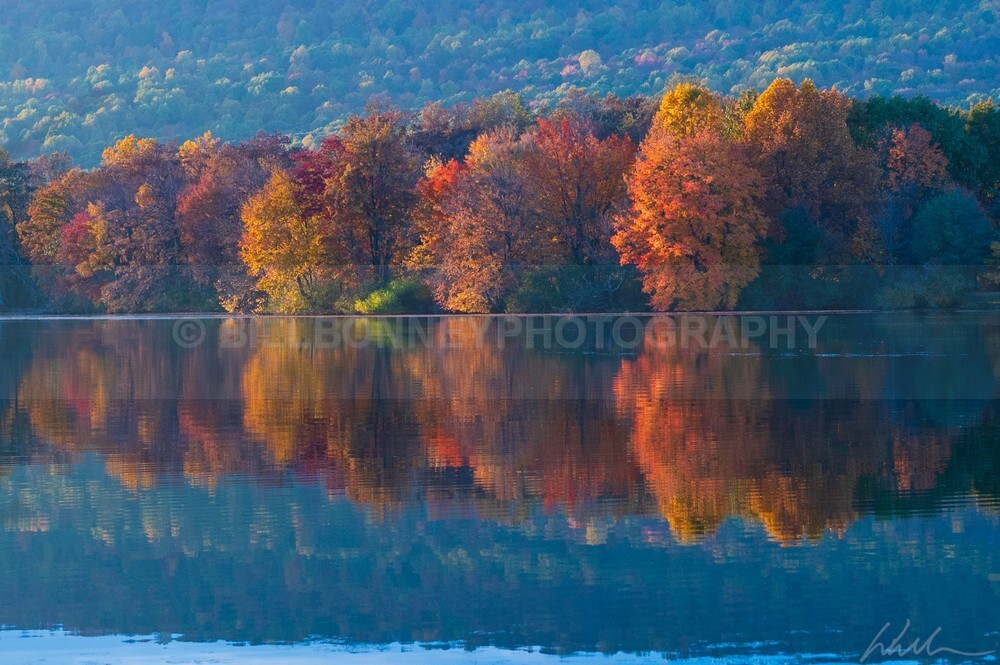DSC_1855 - Autumn