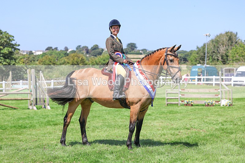 3E7A9288 - Working Hunter Championship