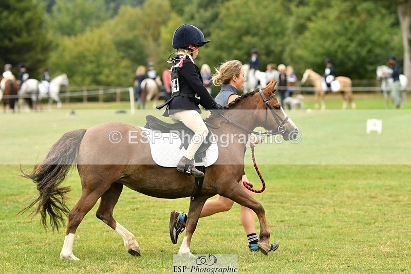 250820A-115954-05394 - 11am to 12