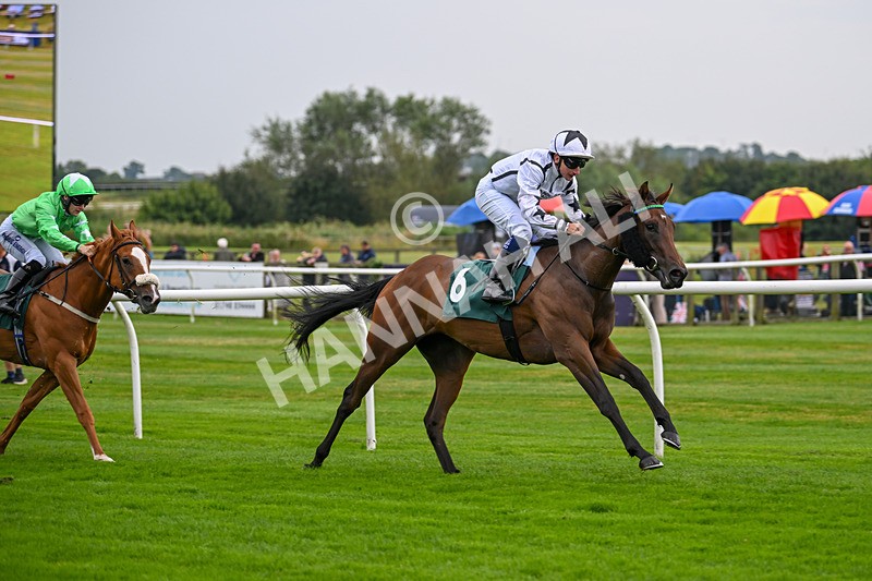 280824-Race 1-Nala Star-3946 - Race 1