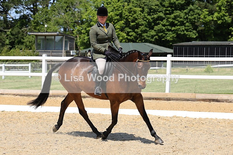 1X9A1796 - Class 12: Ridden Riding Horse/Hack