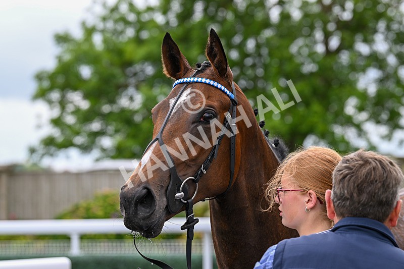 240625-Race 2-Hope Queen-7514 - Race 2