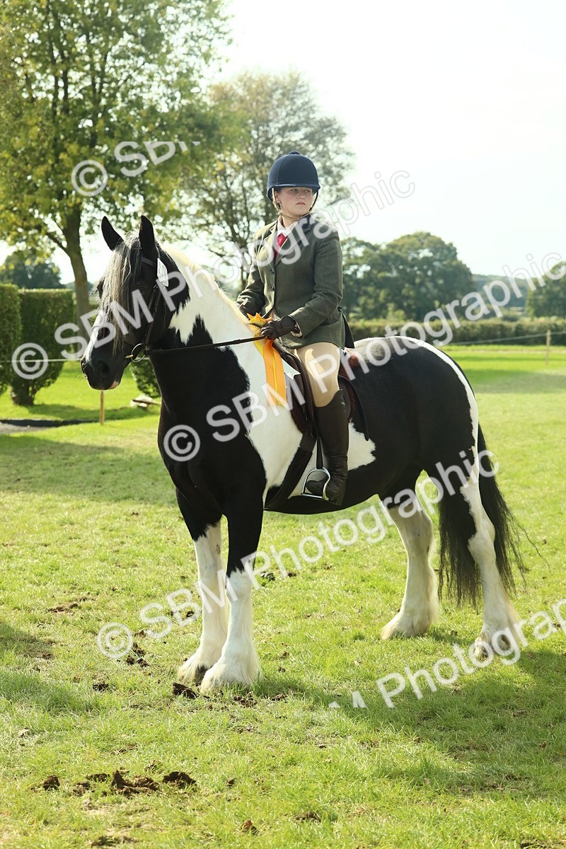 SBM_68983 - S58 - Mini Show Cob Ridden