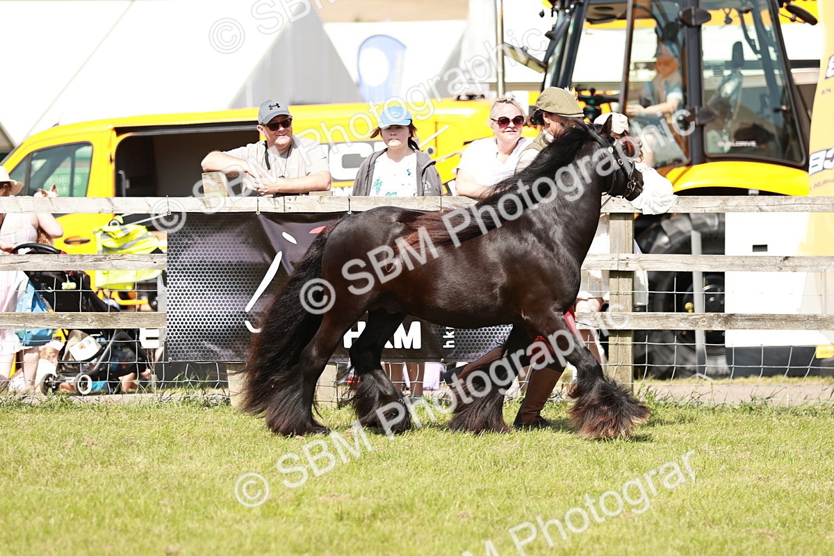 SBM_08538