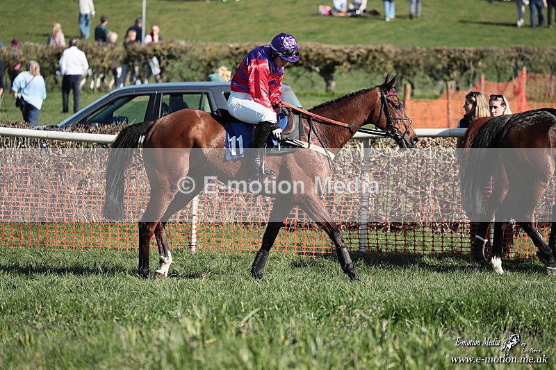 PtP 210326 433 - VWH Cirencester Races 21/03/26