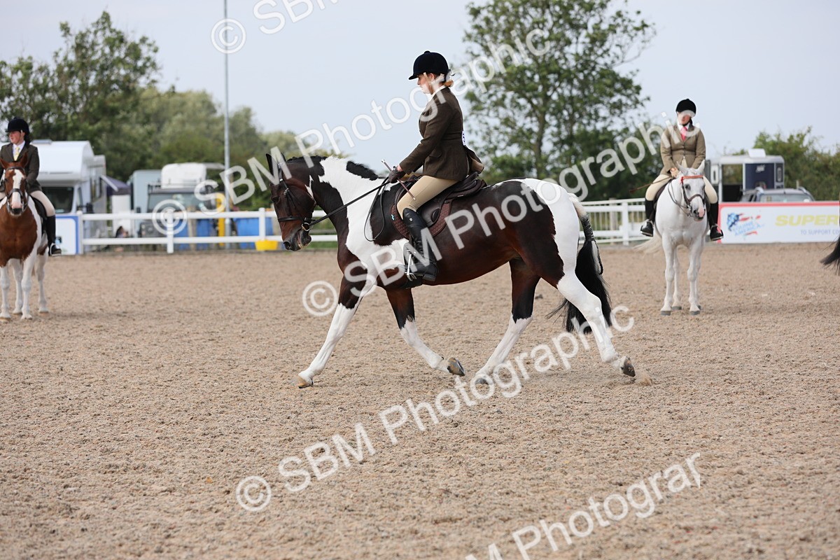 SBM_13465 - Class 308 Ridden Coloured Horse