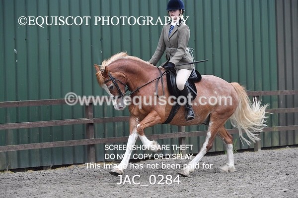 JAC_0284 - CLASS 4 BSPS Scone Palace HT Training Stakes Series (0.60m