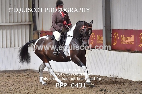 BPP_0431 - RING 2