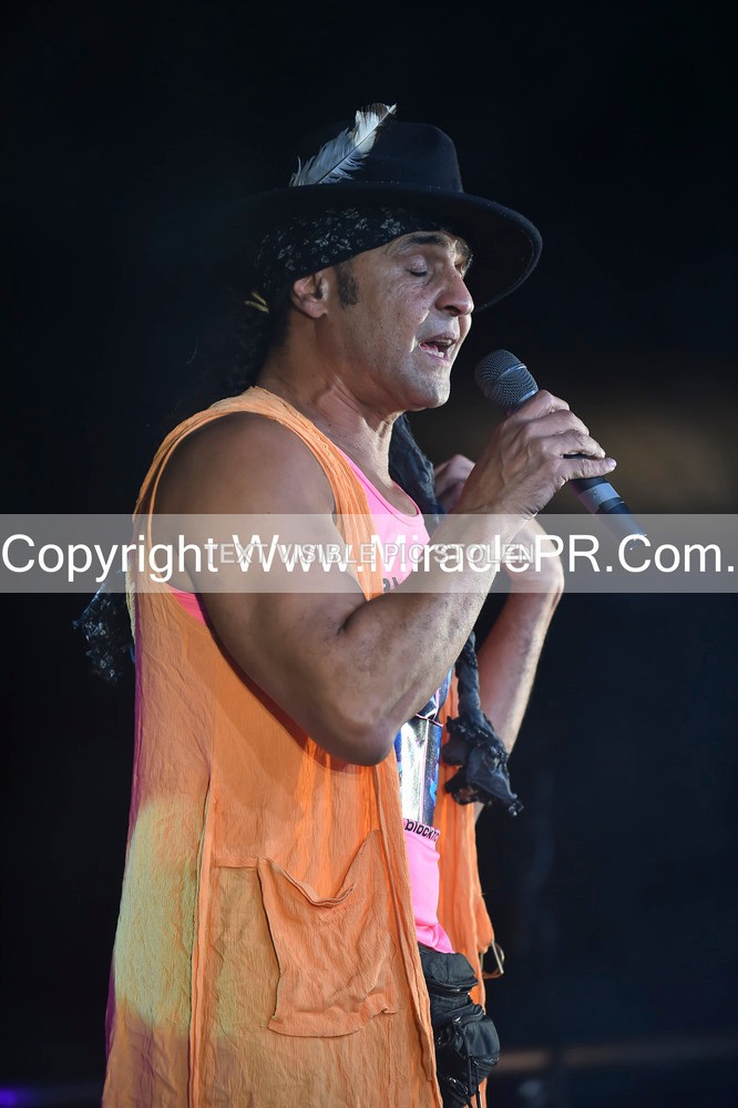 SH4_4390 - Chico