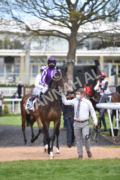 yr13052021r4-28 - Race 4 3.10pm Al Basti Equiworld Dubai Dante Stakes