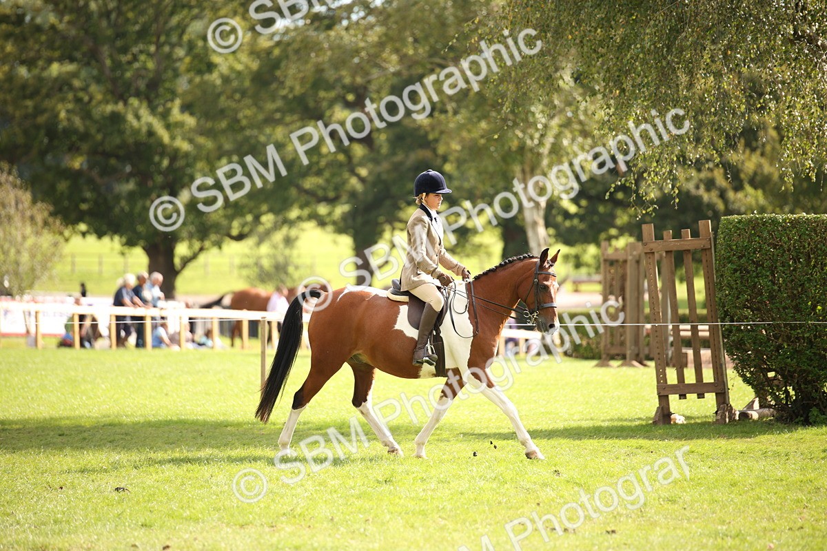 SBM_50040 - S26 - Young Veteran - Ridden