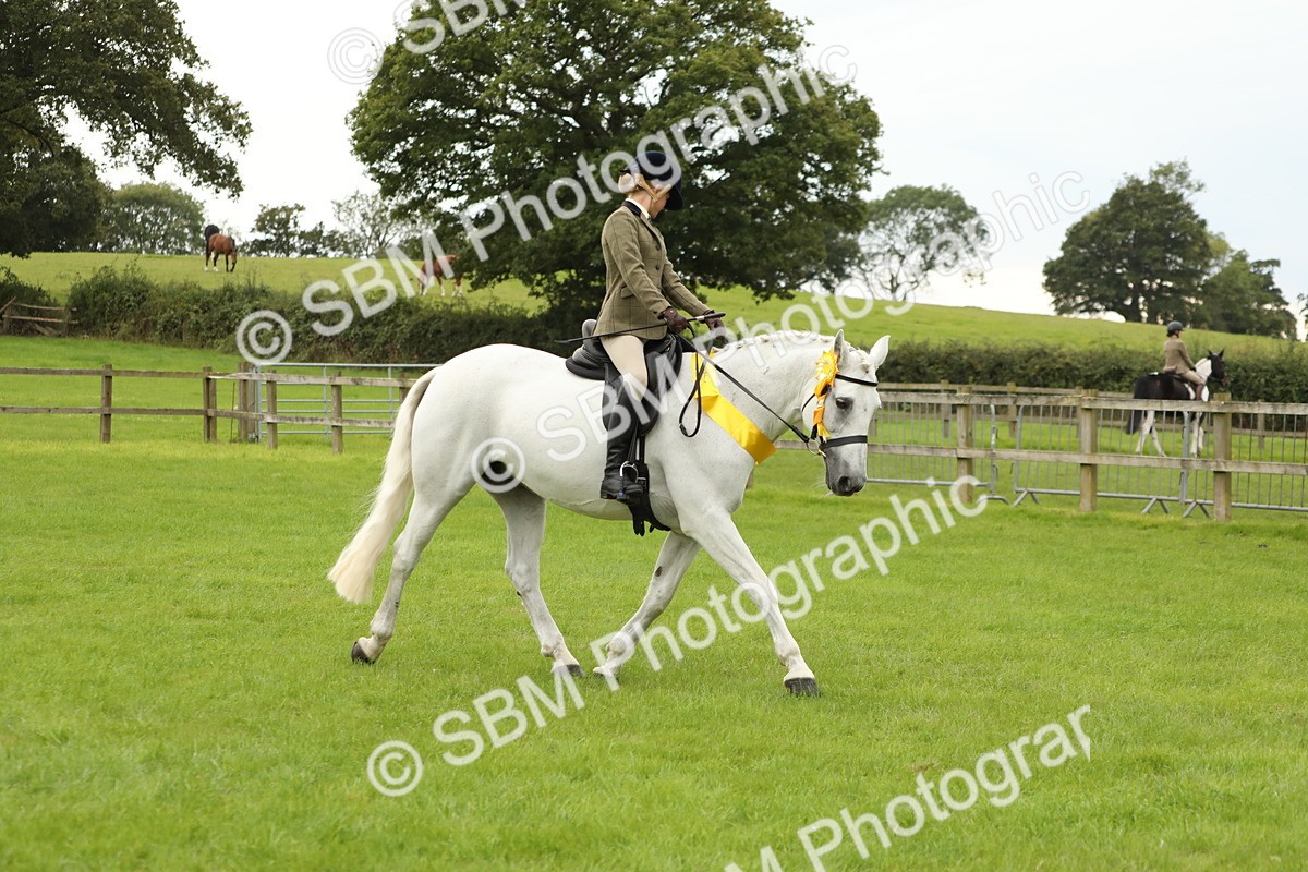 SBM_71455 - S41 - Ridden Equitation (Best Rider)