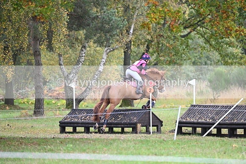 WJ6_4039 - 90cm Cam 1 Time 14:05 to 14:35