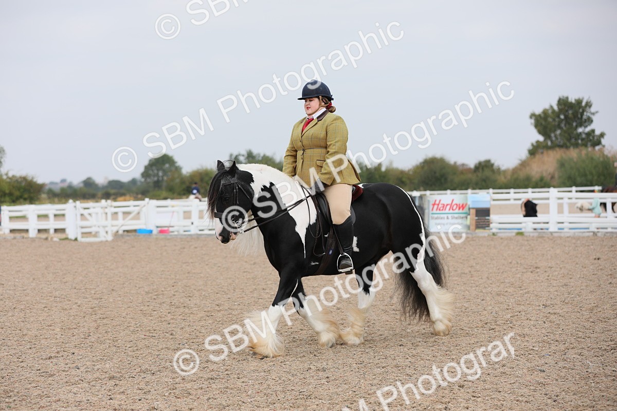 SBM_12754 - Class 307 Ridden Coloured Pony