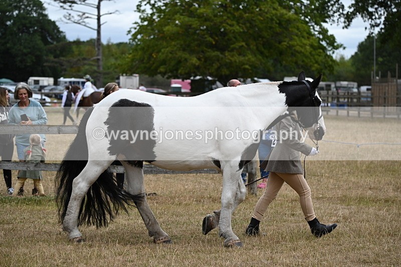 WJ6_8376 - Class 10 Coloured in Hand