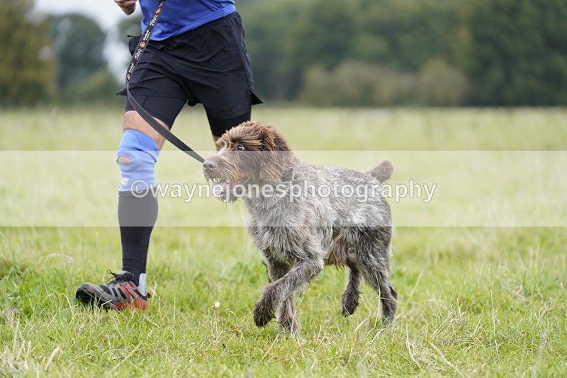 _DSC6804 - Time at Photographer 10:13 to 10:42