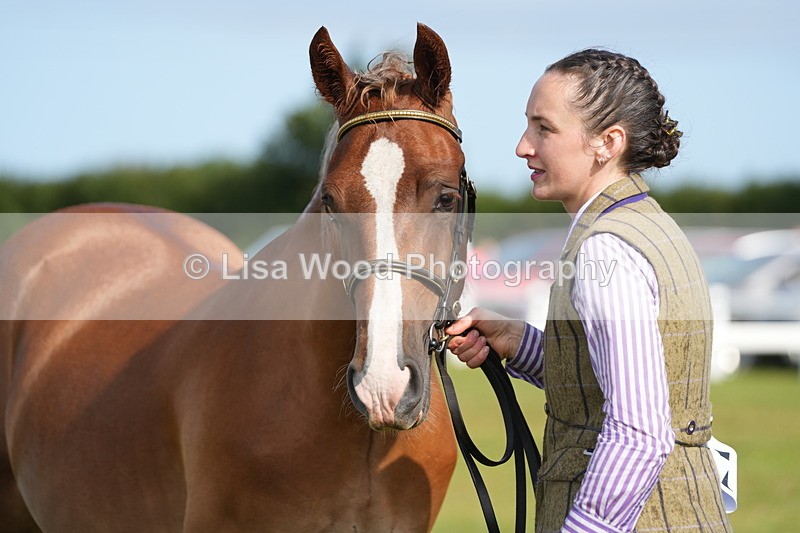 DSC04849 - Class 47: NPS M&M Yearling