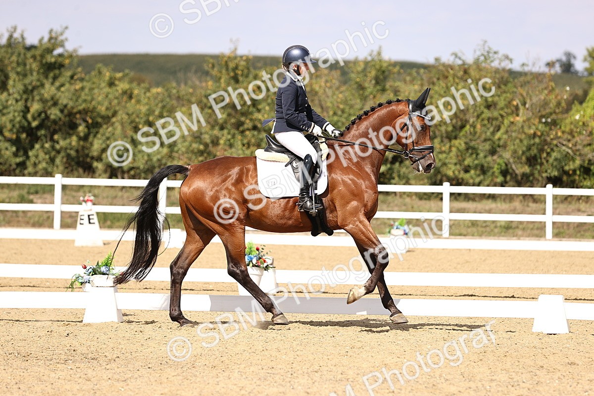 SBM_015066 - Class 6 - Elementary 5