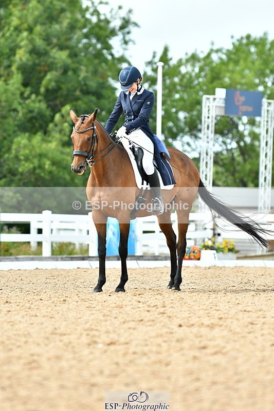 230702A-160603-11096 - Cls 37 + 42 FEI PSG + GP